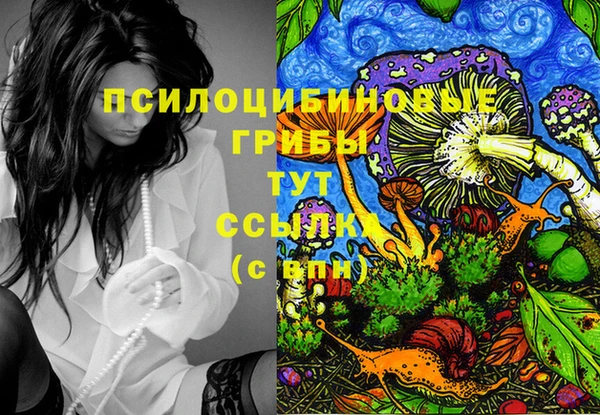 хмурый Нязепетровск