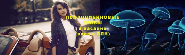 бутират Нягань