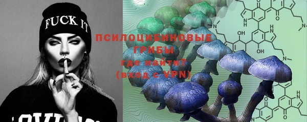 бутират Нягань