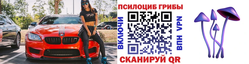 Галлюциногенные грибы Cubensis  Туран 
